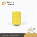 High Class Flame Retardant Thread with Oeko-Tex100 1 Class