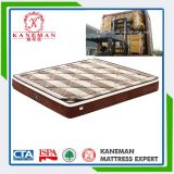 Royal Comfort Mattress Health Care Mattress with High Quality