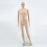 Cheap Skin Stone Color Plastic Display Male Men Torso Mannequin