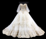 Aolanes Long Sleeve Golden Lace Trim Tulle Sleeve Wedding Gown
