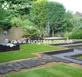Synthetic Lawn Carpet for Garden or Landscape (SUNQ-HY00024)