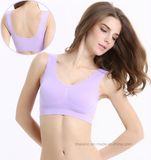 Factory Wholesale Wireless Sleeping Sports Bra