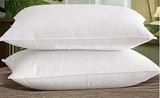 Hotel Double 100% Cotton High Quality Pillow