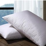 White Color Soft Microfiber Standard Pillow 45X75cm (DPF10121)