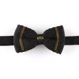 Classic Polyester Knitted Men's Bow Tie (YWZJ 43)