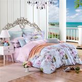 China Supplier Printed Cotton Bedding Set