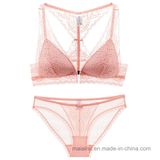 2017 New Ladies Hot Selling Brief and Bra