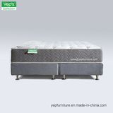 Individual Pocket Spring with High Density Foam Mattress (PS101)