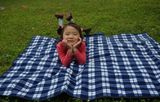 Custom Logo Branded Waterproof Picnic Blanket