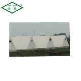 Hot Sell PVC Coated Tarpaulin for Truck Cover Tent/Awning