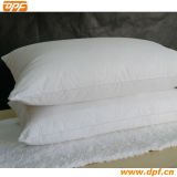 High Quality Decorative Pillow with Piping (DPF061007)