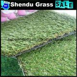 PE Material 25mm Artificial Grass Carpet for Exporting