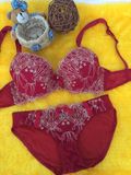 Factory Direct Embroidery Underwear Bra Set for Women (FPY330)