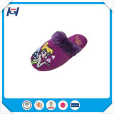 Wholesale Warm Winter Foot Warmers Daily Use House Slippers for Women