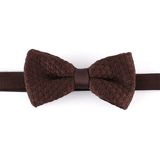 New Design Fashion Men's Latest Style Bowtie (YWZJ 72)