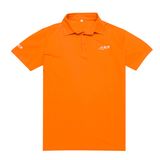 Single Jersey Design Embroidery Men's Polo Shirt (PS031W)