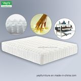 Compressed Memory Foam Pocket Spring Mattress (MP212)