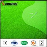 Plastic Green Artificial Grass Carpet for Golf