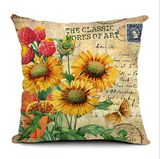Decorative Cushion Transfer Printed Fashion Print Pillow (SCU-030)