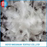 Washed White Goose Feather and Down for Filling