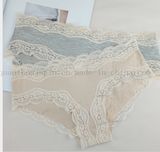 Custom Fashion Sexy Cotton Lace Women Lingerie Panty Underwear