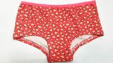 Allover Printed New Style Lady Briefs Underwear