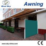 Aluminum Frame Retractable Polyester Screen Awning (B700)