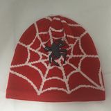 Fashion Jacquard Embroidery Knitted Hat with Fleece Lining