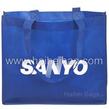 Custom Non Woven Bag for Shopping and Promotion