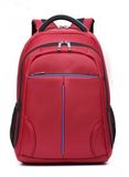 Men's Hotselling Laptop Computer Backpack Bag for School, Travel, Sport Backpacks Zh-Cbj09 (3)