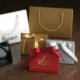 Custom Logo Printed Paper Bag with Handles