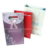 Manufactory Pms Printing Shopping Paper Bag on Great Promotion