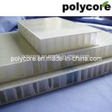 Light Weight Honeycomb Composite Panel