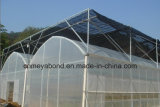 100% New HDPE Plastic Greenhouse Agricultural Anti Insect Net