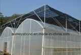 100% New HDPE Plastic Greenhouse Agricultural Anti Insect Net