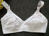 Wholesale Plus Size Bras for Women