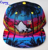 Hawaii Printing Snapback Cap Hat Factory in China