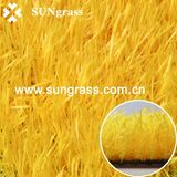 Synthetic Grass Carpet From Sungrass (QDS-RBY)