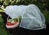 New Virgin HDPE Cheap Garden Anti Insect Net