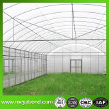 50 Mesh Insect Nets with 4m Width or More Width for Greenhouse