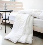 Fashion Comfortable Quilting Comforter for Home/Hotel (EA-23)