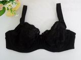 European Style Cotton Cup Plus Size Bra (CS926)