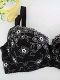 Latest Big Size Cotton Bra for Women