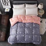Pure Cotton Goose Down Feather Duvet/Quilt/Comforter for Home
