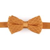 New Design Fashion Bowtie for Men (YWZJ 26)