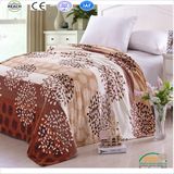 Popular Leopard Printing Coral Fleece Bed Sheet 4PCS Set