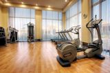 Resilent Sport Vinyl Flooring for Hotel Gym