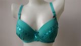 Elegant Push up Sexy Ladies Bra (CS18354)