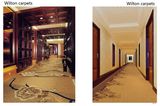 Wilton Wall to Wall Hotel Carpet