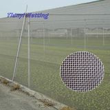 Agriculture Anti Insect Net